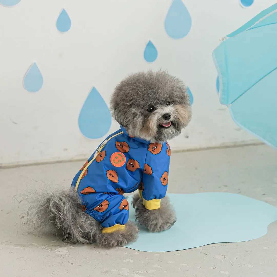 Pet Dog Waterproof All-Inclusive Raincoat Rain Poncho Medium-Sized Small Dogs Four-Legged Hooded Teddy Bichon Pet RaincoatXJ250121