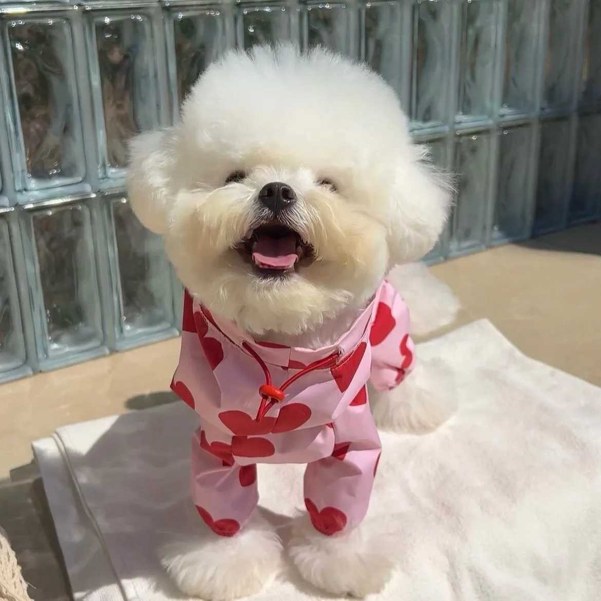 Ins multi in one waterproof heart-shaped cloud print pet raincoat Dog Model Cute Hooded Dog Clothes Mascotas Dog CostumeXJ250121