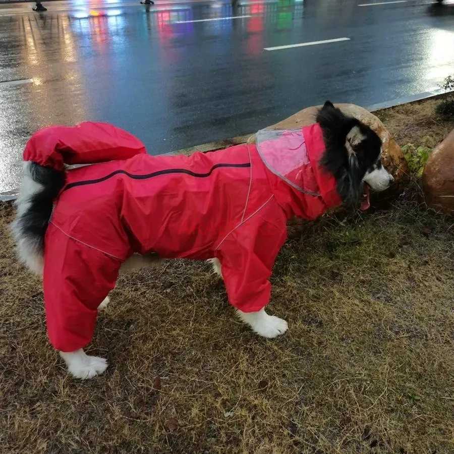 Pet dog big dog medium to large dog golden haired Samoyed Alaska all inclusive raincoat hooded bag tail rain gearXJ250121