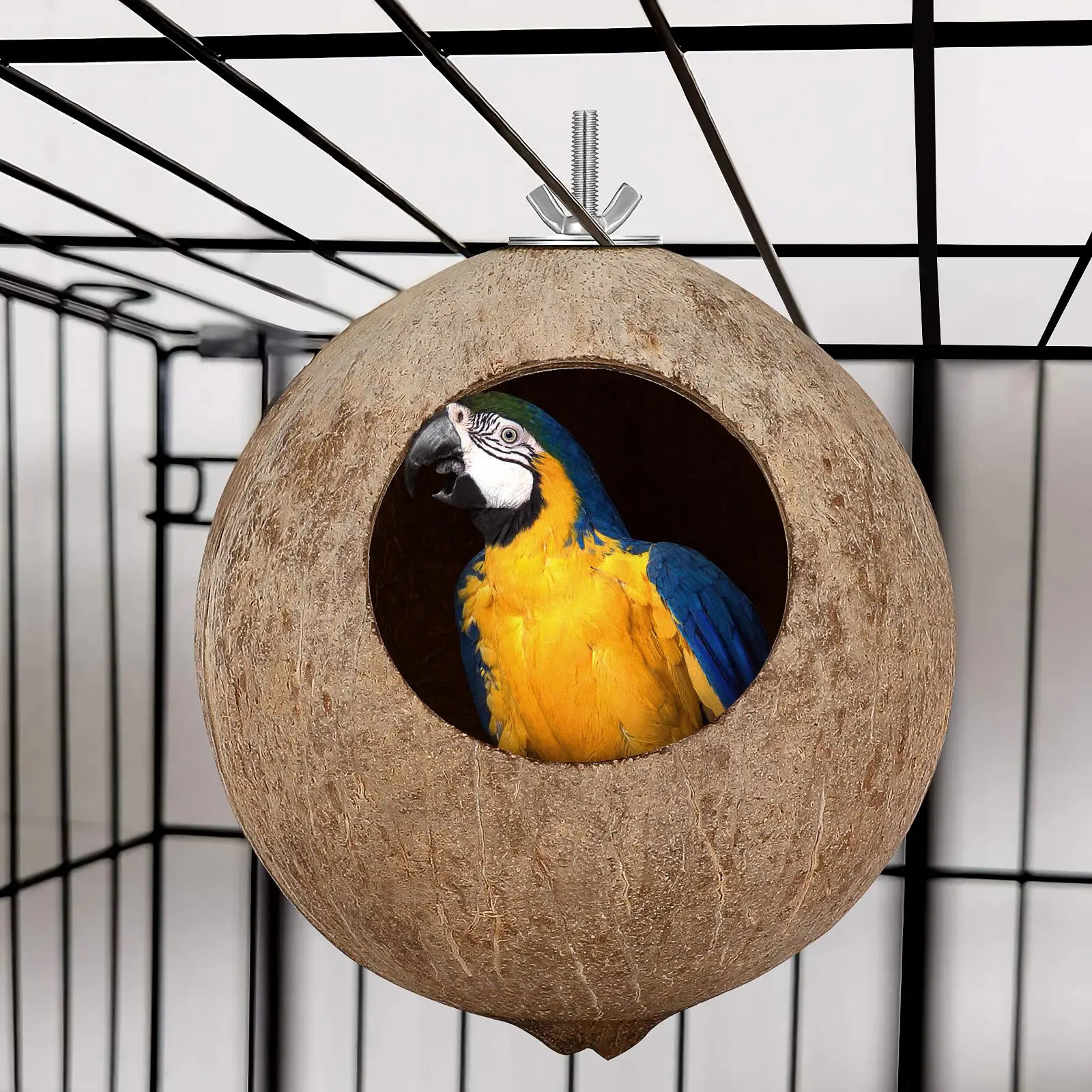 Parrot Coconut Shell Nest Pet Bird Nest Hamster Squirrel Breeding Nest Canary Lark House Hang Ornament For Garden Yard PetSupply 250121