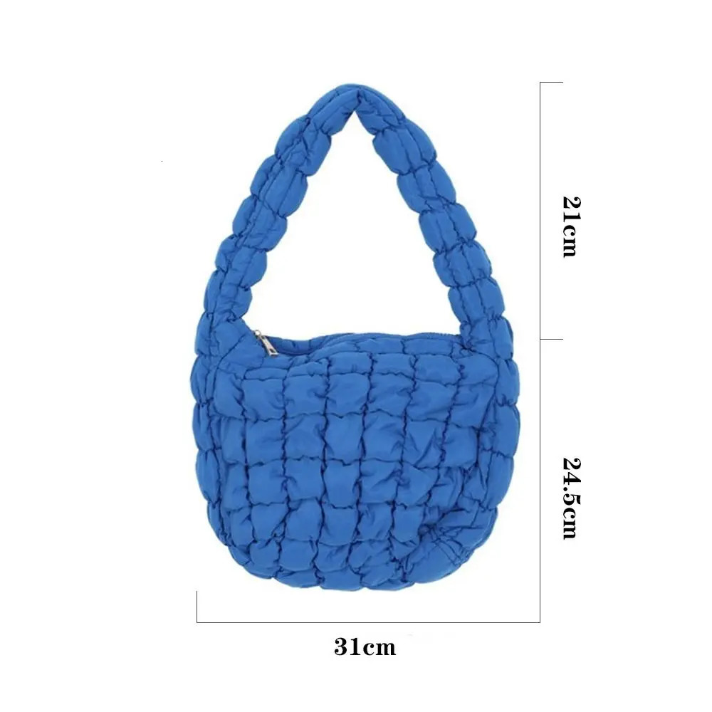 Fashion Girls Handbag Plaid Hobo Bag Space Cotton Padded Cloud Bag Down Cotton Shoulder Bag Versatile Shoulder Bag 250113