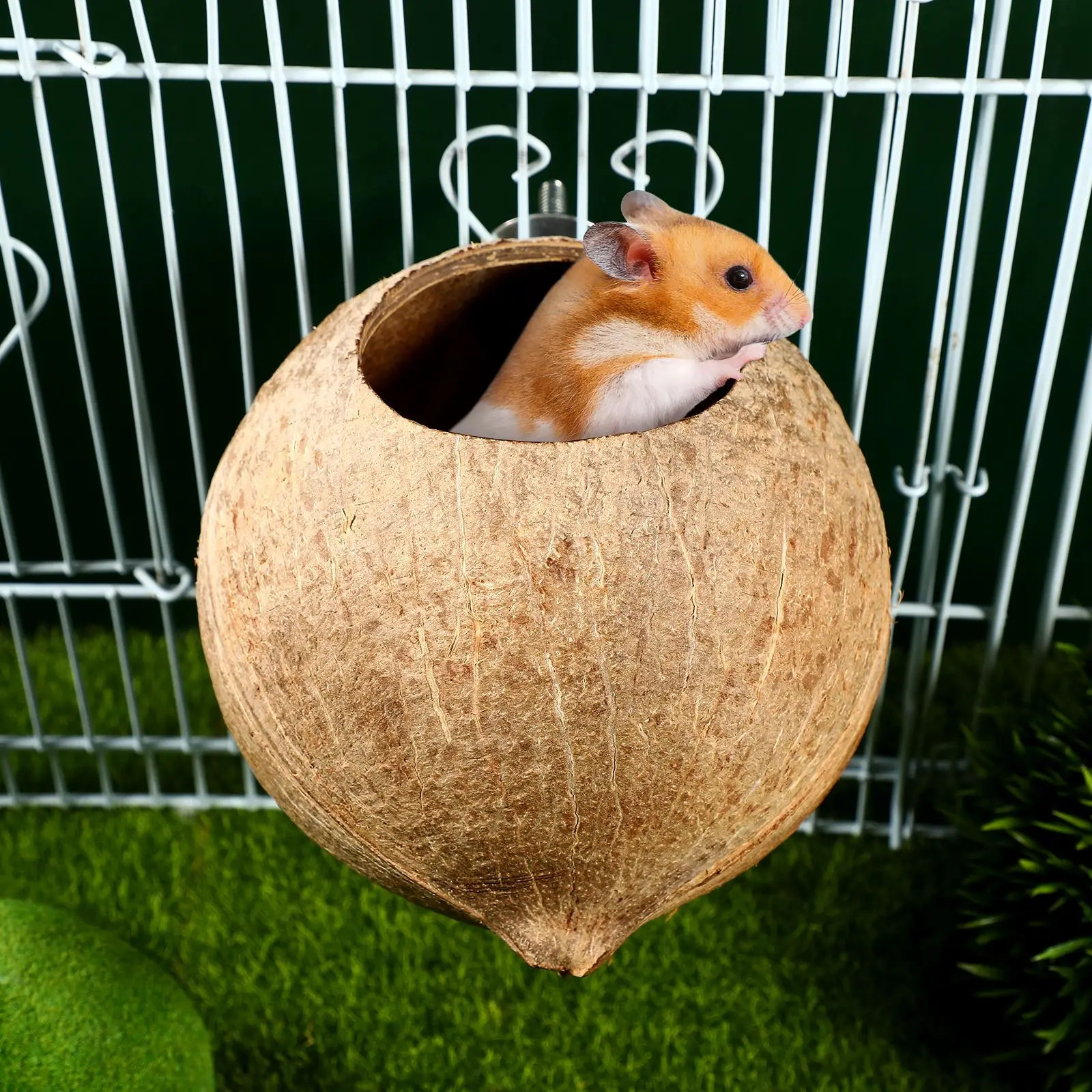 Parrot Coconut Shell Nest Pet Bird Nest Hamster Squirrel Breeding Nest Canary Lark House Hang Ornament For Garden Yard PetSupply 250121