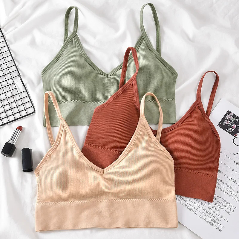 Kit 4 Women Seamless Bra Set Sexy Beautiful Back Cotton Comfortable Breathable Padded Underwear 250122