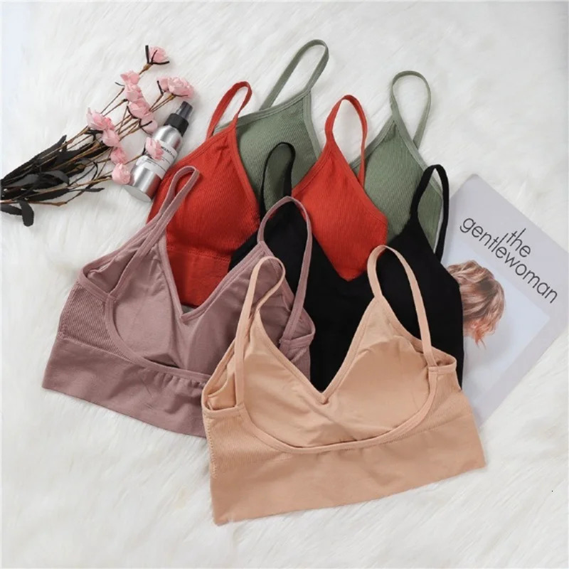 Kit 4 Women Seamless Bra Set Sexy Beautiful Back Cotton Comfortable Breathable Padded Underwear 250122