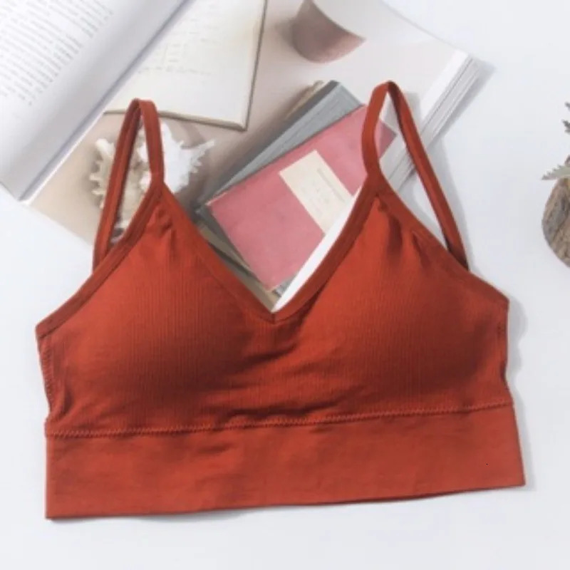 Kit 4 Women Seamless Bra Set Sexy Beautiful Back Cotton Comfortable Breathable Padded Underwear 250122