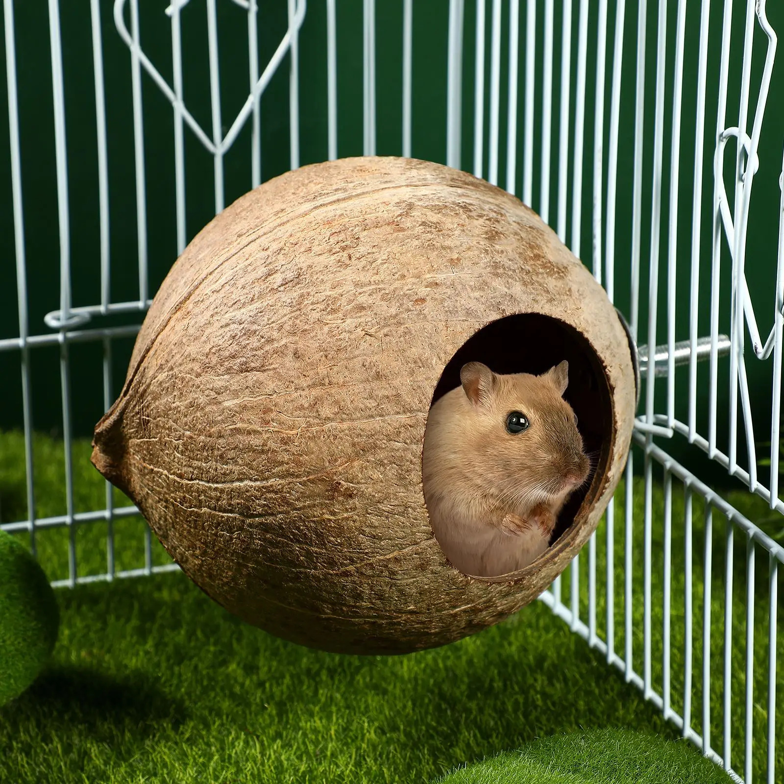 Parrot Coconut Shell Nest Pet Bird Nest Hamster Squirrel Breeding Nest Canary Lark House Hang Ornament For Garden Yard PetSupply 250121