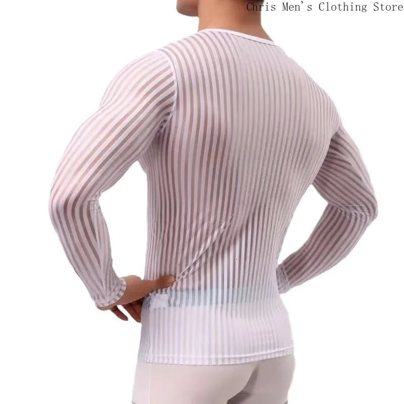 Mens Breathable Quick Drying Training Tight T-shirt Sexy See-through Mens T-shirt Muscle Men Stretch Casual Base Long Sleeve Tee 250117