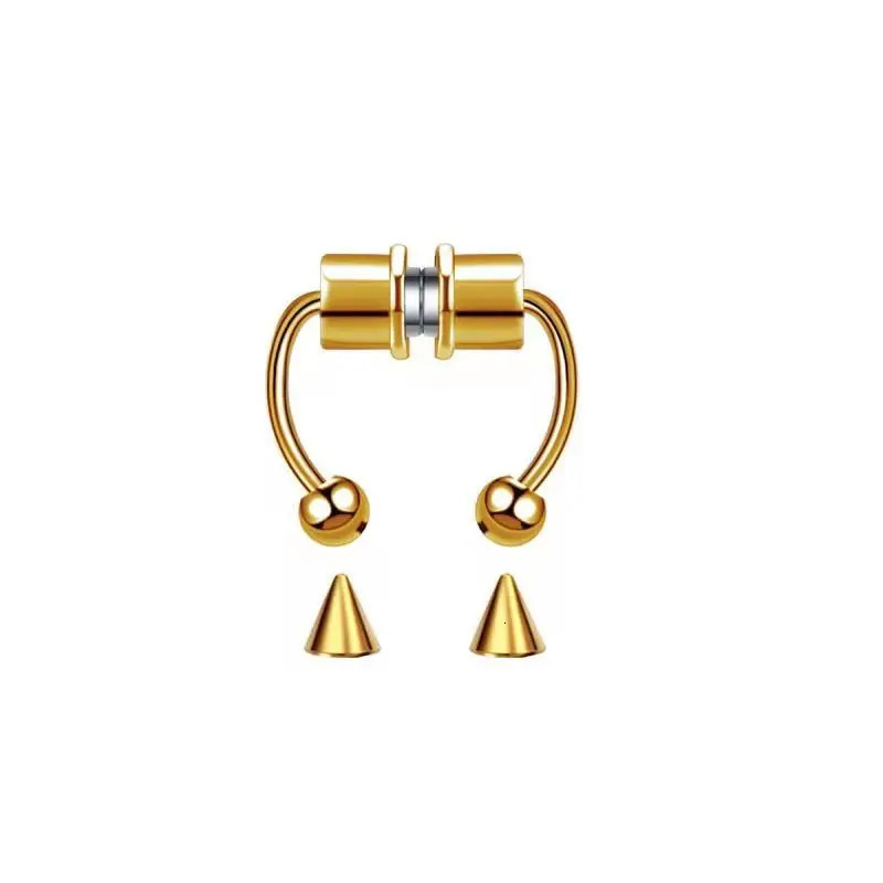 Magnetic Nose Ring Stainless Steel Hypoallergen Hoop Septum Rings for Women Body Piercing Jewelry 1 PC 250110
