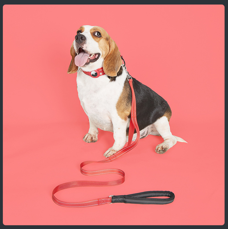 Factory Customazition Wholesale Nylon Reflective Adjustable Cat Dog Leash and Collar with Air Tag Holder Soft Padded Airtag Case Dog Collar Pet Access