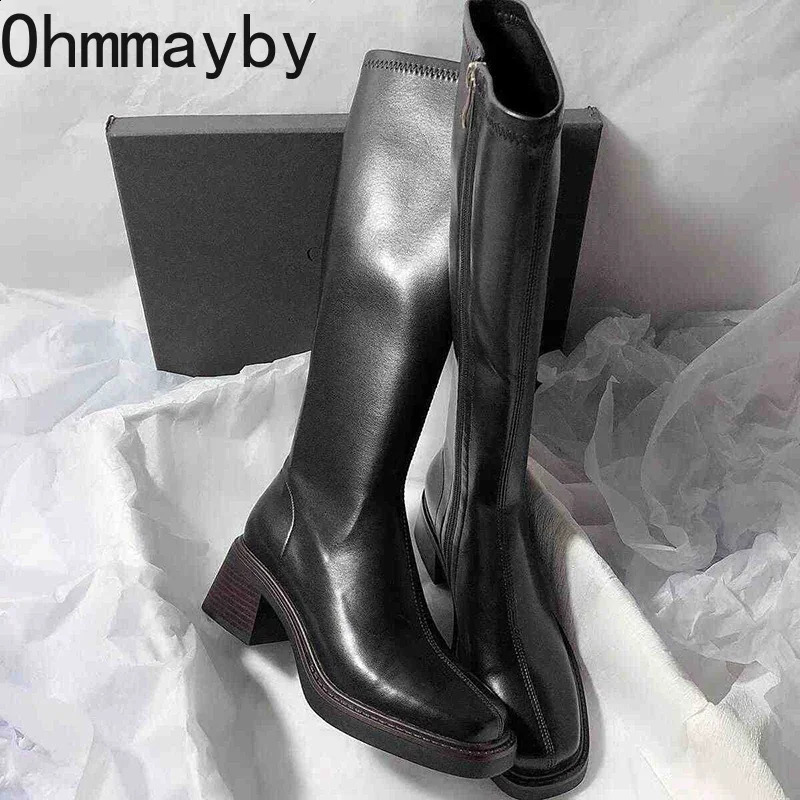 Vintage Thick Heel Women Knee High Boots Fashion Side Zippers Shoes Autumn Winter Ladies Concise Long Botas De Mujer 250118