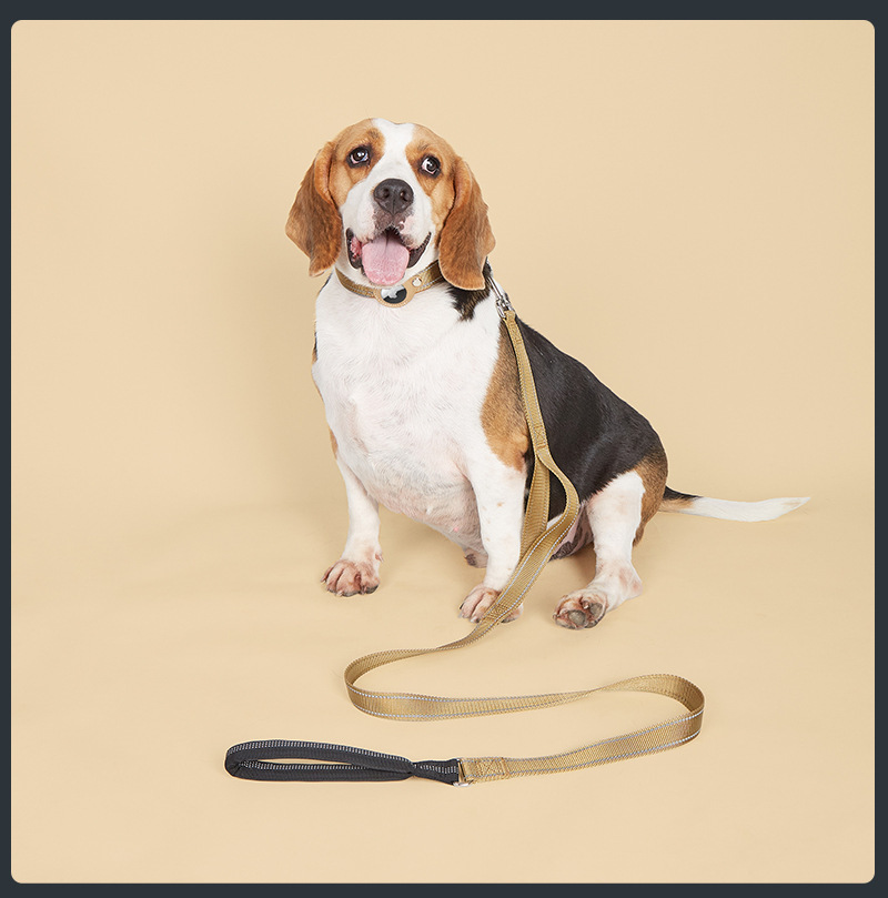 Factory Designer Durable Adjustable Comfortable Soft Padded AirTag Case Pet Dog Collar Handled Leash Set Pet Accessories
