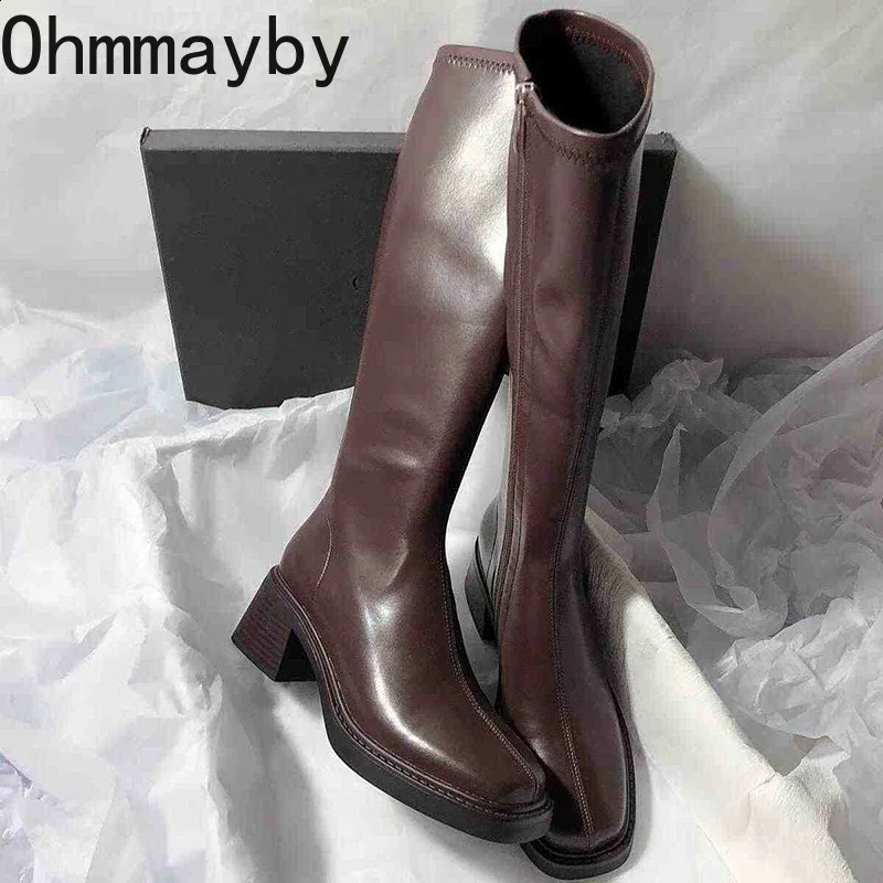 Vintage Thick Heel Women Knee High Boots Fashion Side Zippers Shoes Autumn Winter Ladies Concise Long Botas De Mujer 250118