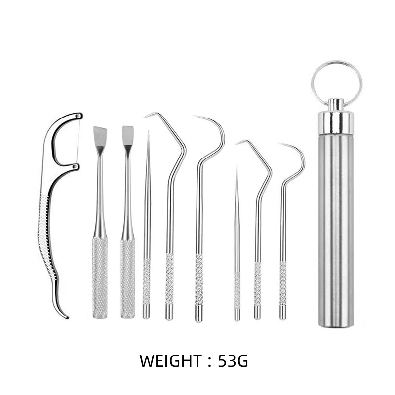 Multi-Piece Stainless Steel Toothpick Set with Rounded Edges for Safe Use