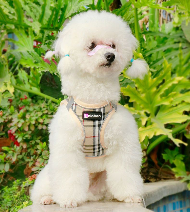 Classic Plaid Dog Harness Leash set Pet Puppy Cat Comfort Padded Vest Soft Padded Reflective Adjustable Walking Harness with Handle for Small Dogs FB0 - view 8