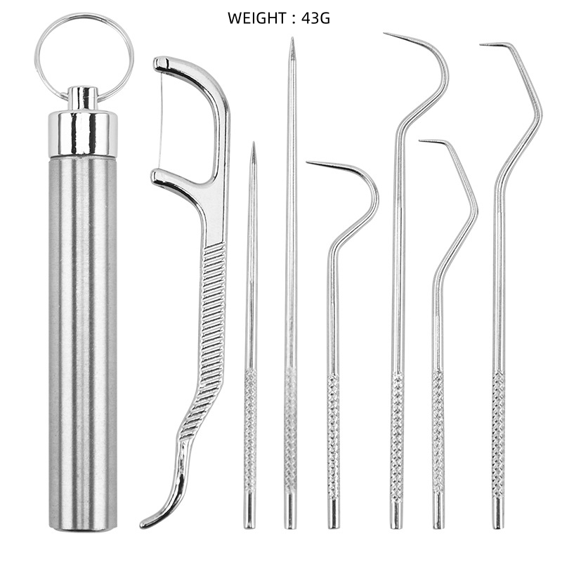 Multi-Piece Stainless Steel Toothpick Set with Rounded Edges for Safe Use
