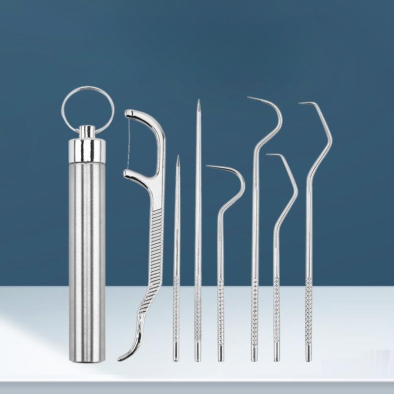 Multi-Piece Stainless Steel Toothpick Set with Rounded Edges for Safe Use