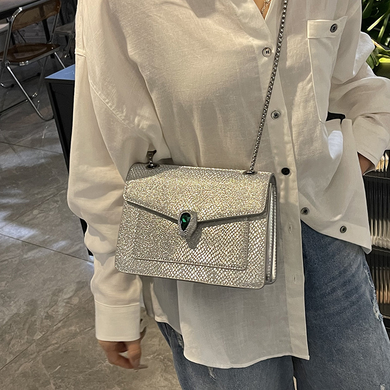 2025 New Women's with Rhinestones, Light Luxury Silver Chain Bag, Textured Commuter Shoulder Crossbody Small Square Bag ddmymoon