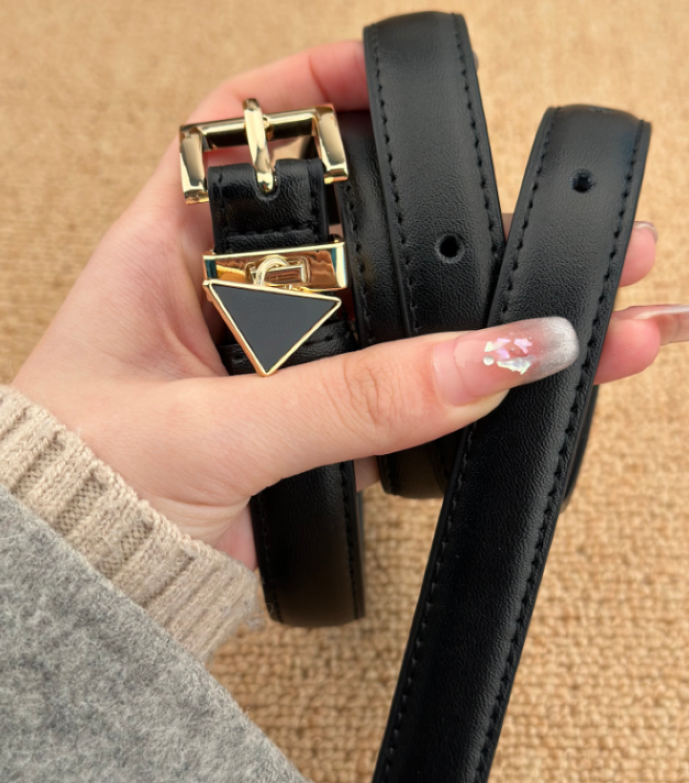 With Designer Woman Simple E All Ceinture Match Skirt Dress Suit Pants Tucked Waist For Womens Belt 2.0Cm Locking Buckle Tight Belts AAAAA