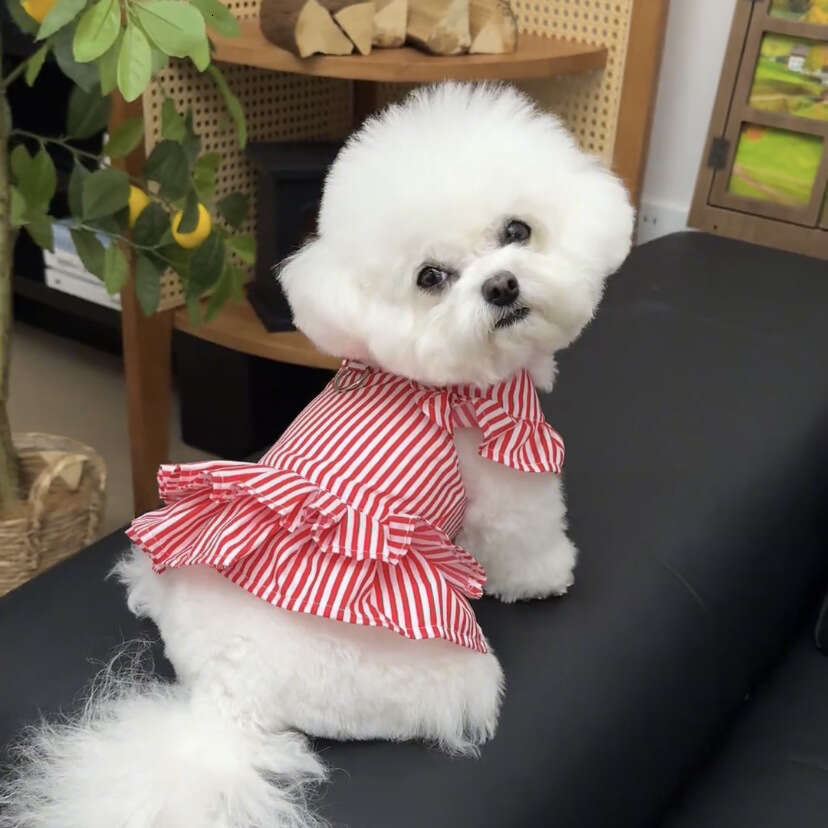 Dog Cat Leashable Little Flying Sleeve Striped Breathable Jumpsuit Pet Dress Suitable for Spring and Summer