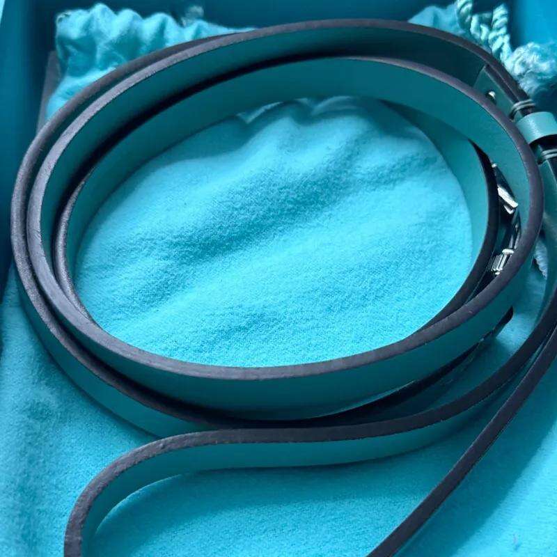 Designer Leash Set Blue Leather Collars-Stylish Collar with Metal Tag- Sytle, Soft Adjustable for Small Dogs Advanced Dog Accessories S Free shipping