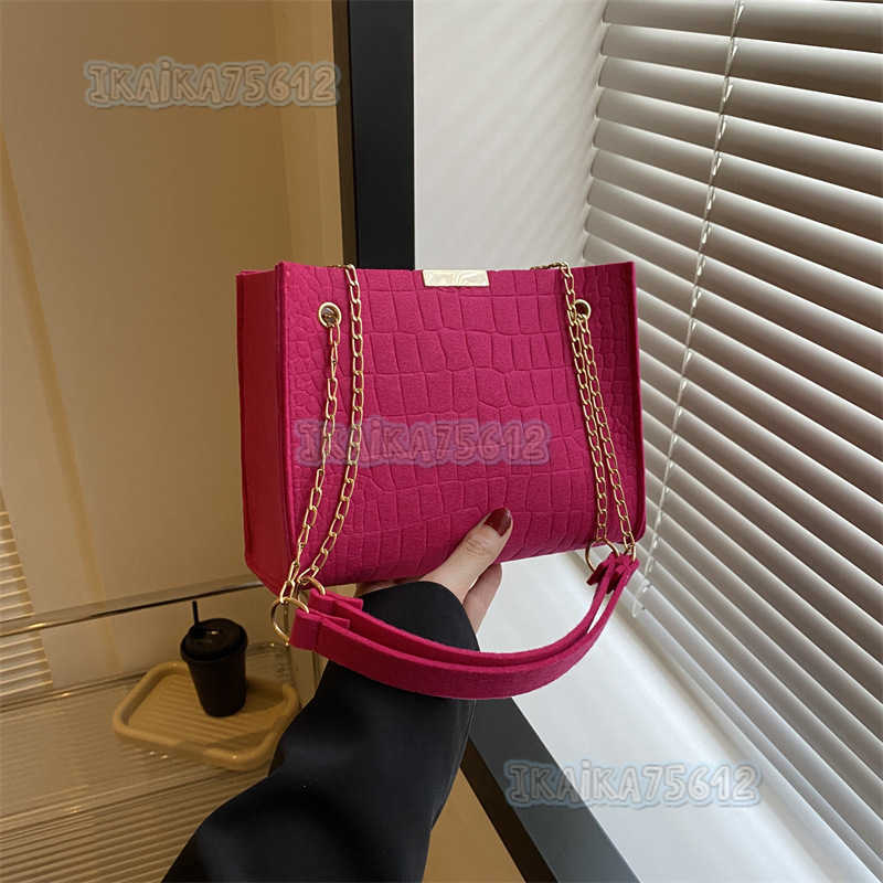 2025 Spring New Trendy Fashionable Single Shoulder Bag Casual Chain Crossbody Womens Bag Niche Popular Bag for Women H250804