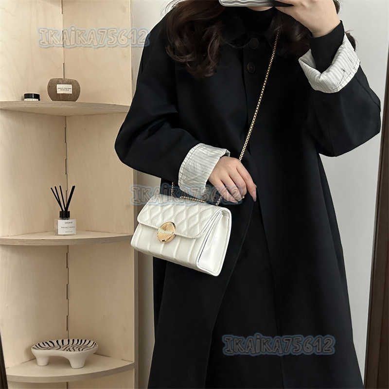 Trendy Small Bags for Women 2025 Winter New Fashion Casual Shoulder Crossbody Bag Casual Chain Shoulder Bag H250804