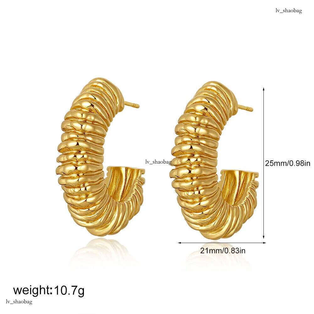 DHcollections 14K Gold Lava Rock Exaggerated Earrings Post-Apocalyptic Style Striped Thread C-Shaped Stud Irregular Ear Jewelry