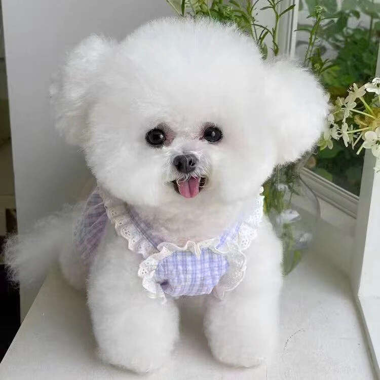 New Pet Spring Summer Autumn Plaid Strap Suitable for Teddy Bichon Dogs Cats Thin Princess Dress