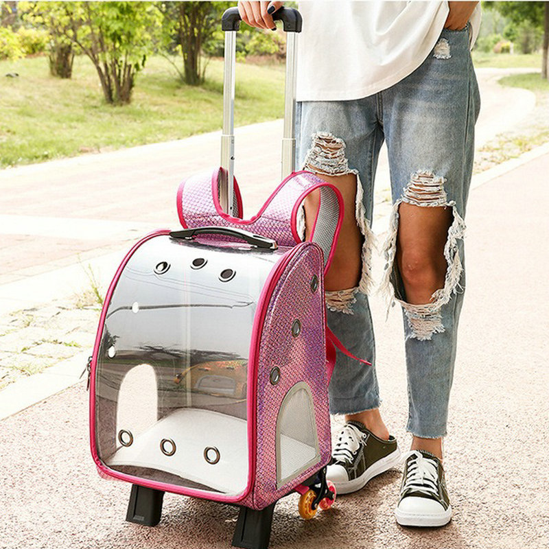 free Shipping Pet suitcase, transparent space capsule cat bag portable and foldable pet backpack small dog bag cross-border