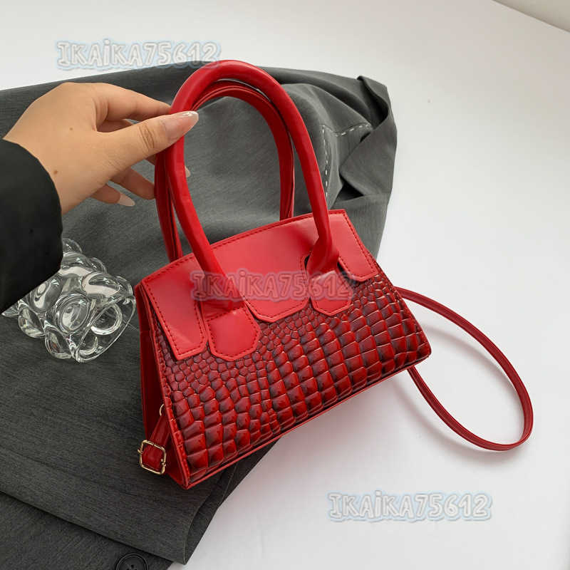 Small Square Bag for Women 2025 Summer New Trendy Fashion Niche Design Popular Crossbody Bag Simple Fashion Shoulder Bag H250804