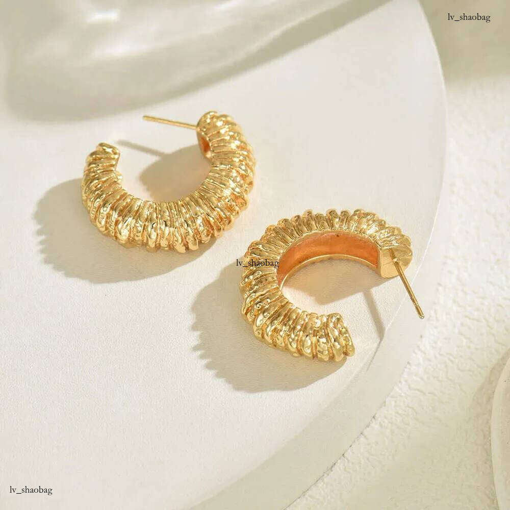 DHcollections 14K Gold Lava Rock Exaggerated Earrings Post-Apocalyptic Style Striped Thread C-Shaped Stud Irregular Ear Jewelry