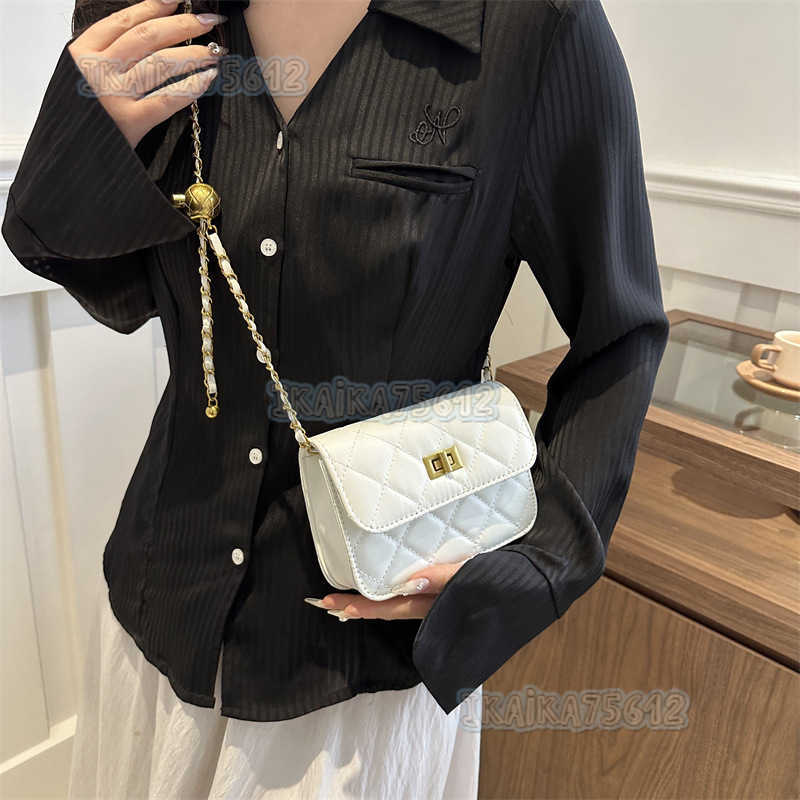 Fashionable and Elegant Simple Chain Small Square Bag 2025 New Trendy Stylish Bag for Women Personality and Crossbody Shoulder Bag H250804
