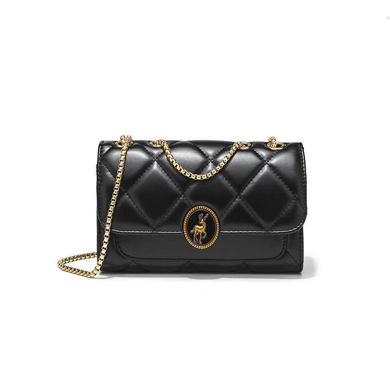 DHessentials High-End Chain Small 2024 New Fashion Versatile Shoulder Crossbody Bag