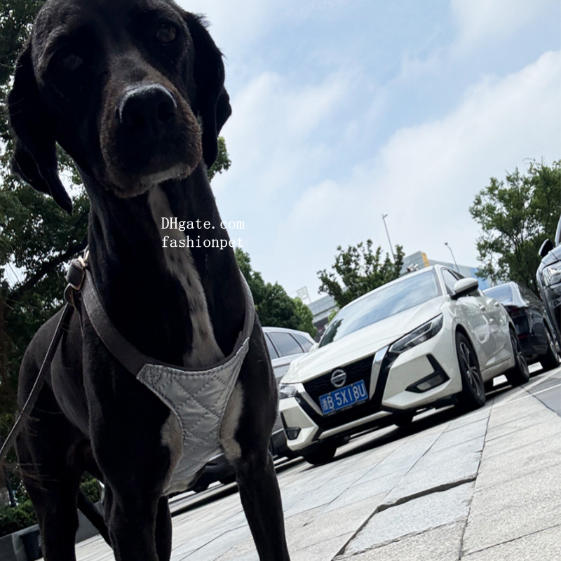 Luxury Dog Harness No Pull Dogs Harness with Multifunction Dog Leash, Soft Adjustable No Choke Escape Proof Pet Harness Vest, Space Cotton Material Gl