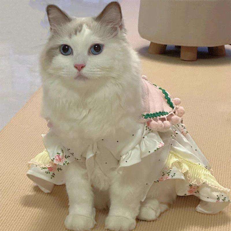 Pet Cat Elegant Style Spring and Autumn Double Layer Princess Small Dog Clothes Dress