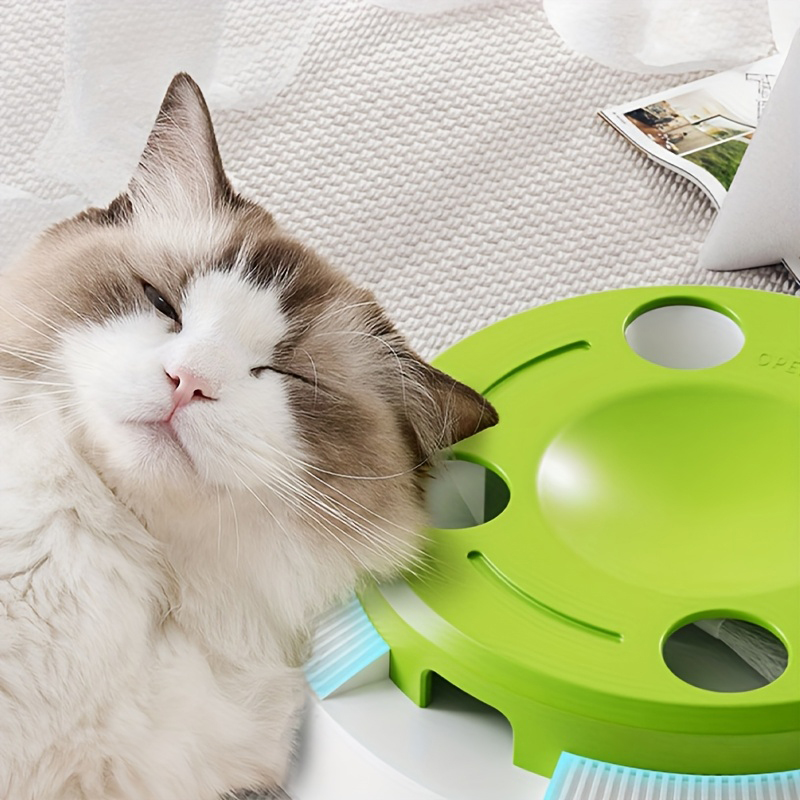 The cat-teasing play plate is a great tool for cats to have fun and relieve boredom