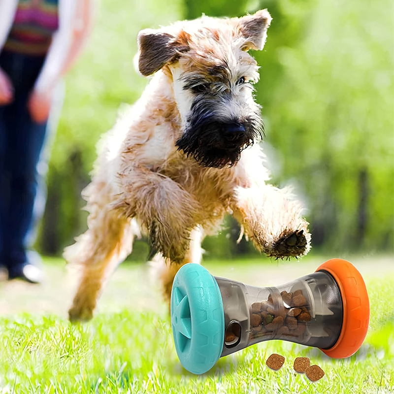 Roll the pet's food drain with dumbbells