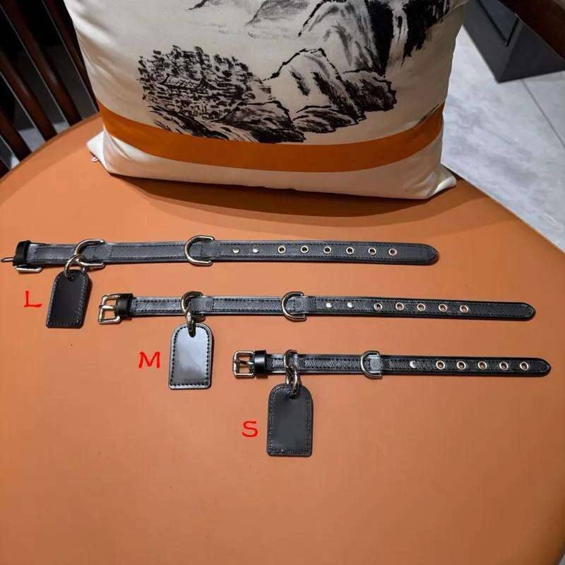 Designer Collars Set, White Multicolour Dog Tag, Durable Leather Collar and Leash with Metal Buckle for Small Dogs, Puppy Collar, S Free shipping