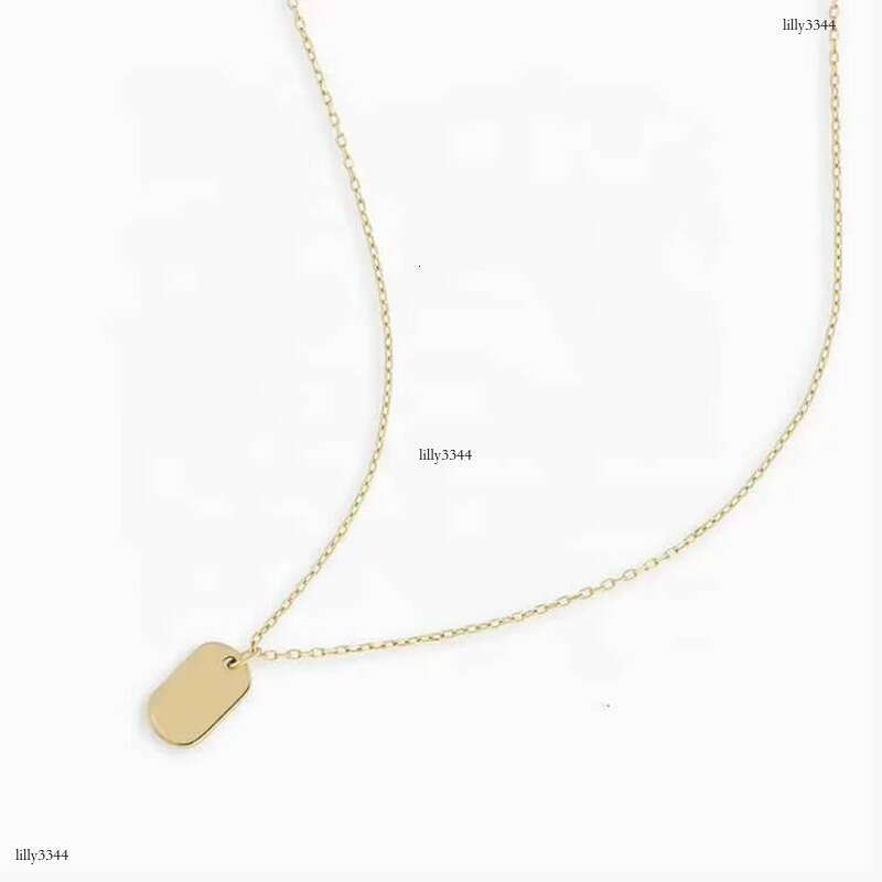 DHCollections Custom Sterling Sier 14/ Gold Plated Vermeil Women Fine Jewelry Classic Dainty Dog Tag Necklace for Ladies