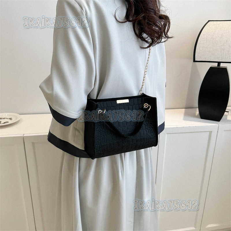 2025 Spring New Trendy Fashionable Single Shoulder Bag Casual Chain Crossbody Womens Bag Niche Popular Bag for Women H250804