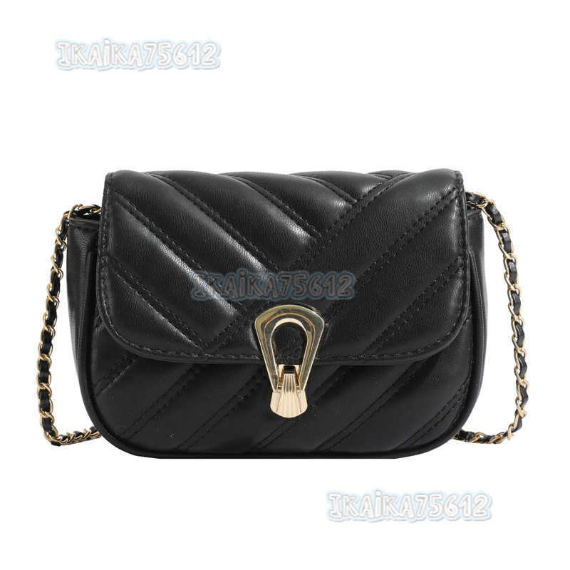 Trend Small Bags 2025 Spring New Chain Womens Bag Small Square Bag Simple Crossbody Bag H250804
