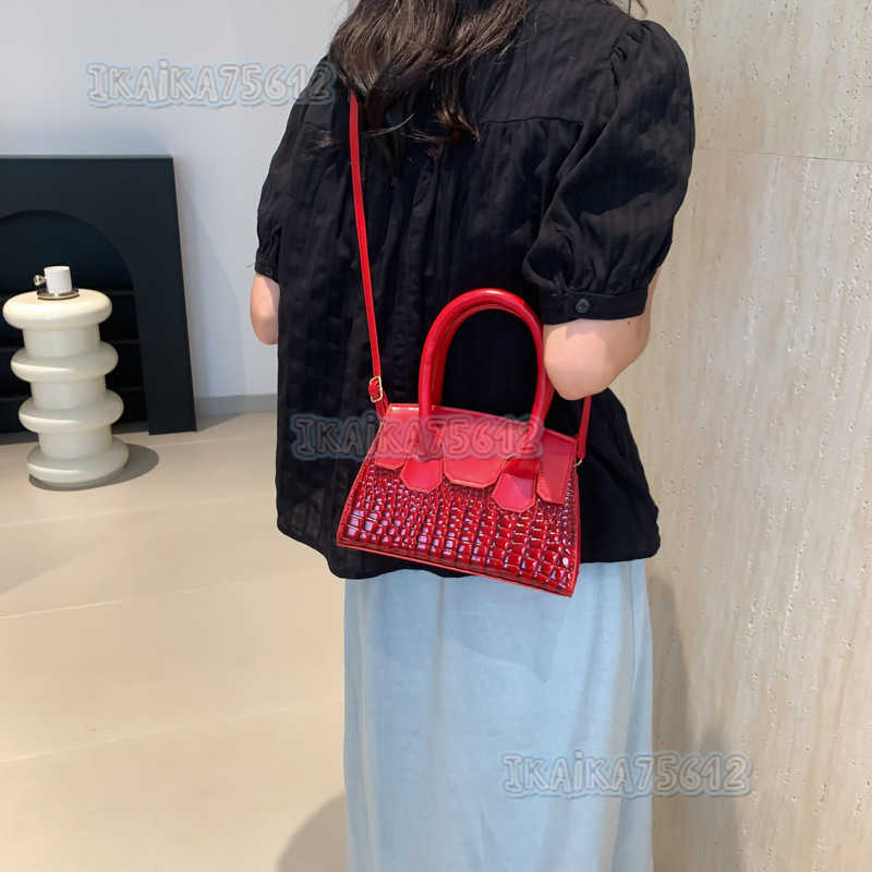 Small Square Bag for Women 2025 Summer New Trendy Fashion Niche Design Popular Crossbody Bag Simple Fashion Shoulder Bag H250804