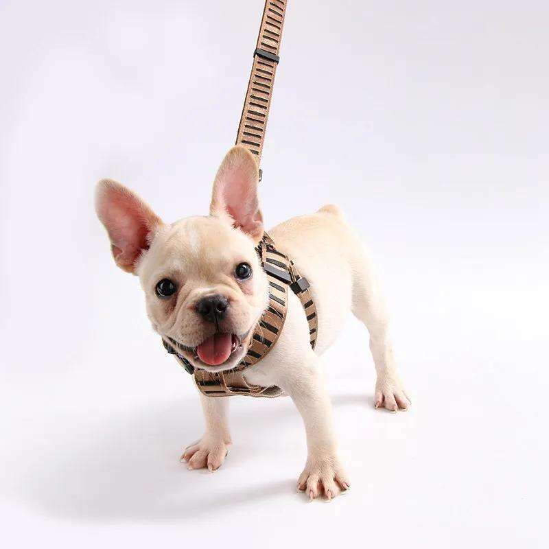 Collars Leashes Set Designer Dog Leash Seat Belts Pet Collar and Pets Chain for Small Medium Large Dogs Cat Chihuahua Poodle Bulldog Corgi Pug Brown F
