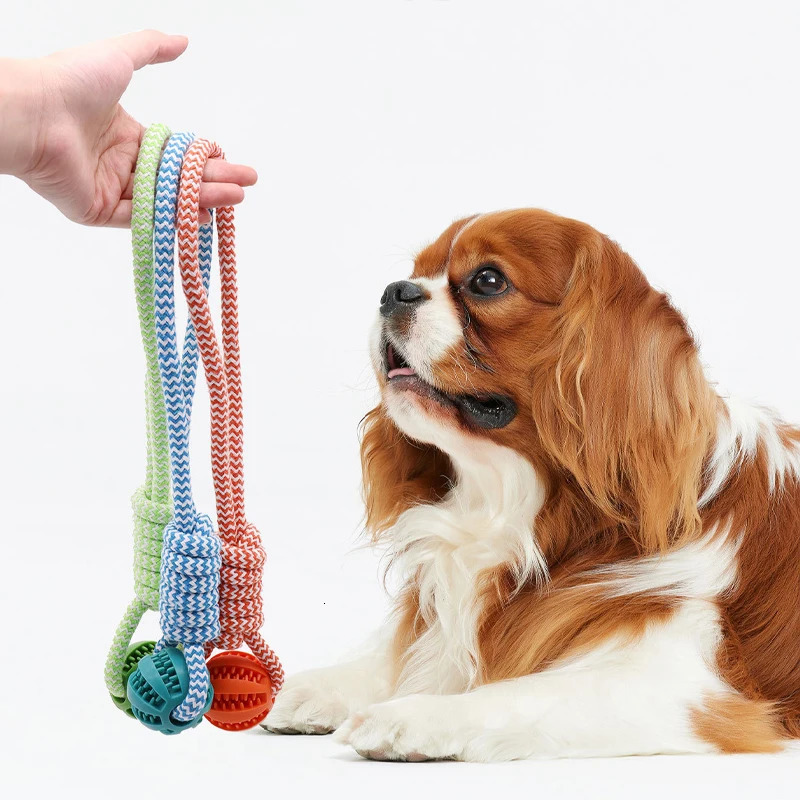2026 New Tooth Cleaning Pet Ball With Rope Rubber Leaking Balls Toy For Small Large Dogs Puppy Chewing Bite Resistant Toys 250804 Free Shipping