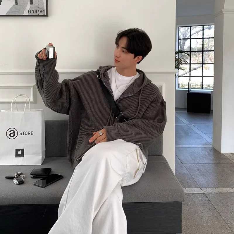 Autumn Clothing Mens Light Luxury Knitted Hooded Cardigan Sweater Korean Vintage Popular Zipper Long Sleeve Hoodie Knitwear XJ250805