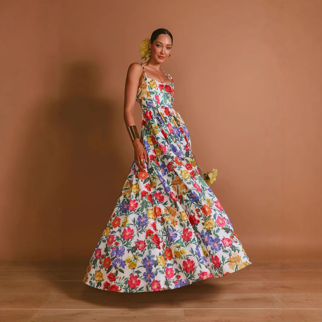 2025 New Spring/Summer European trend and American Women's S Fashion Transparent Hard Yarn Fairy Long Elegant Evening Dress New Designer Dress