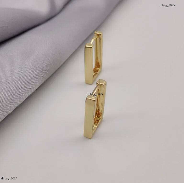 Geometric Charm gold Earrings Rectangular Womens metal titanium steel New trendy jewelry