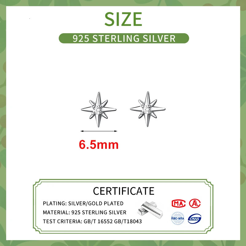 SOFTPIG 100% 925 Sterling Silver Zircon Star Stud Earrings for Women Classic Fine Jewelry Minimalist Accessories 250729