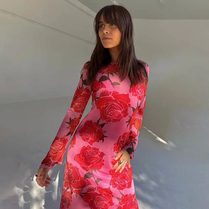 Blifanbo Print Flower Elegant Maxi Dress Women O Neck Fashion Long Sleeve Slim Sexy Print Patchwork Female Holiday Long Dress 250728