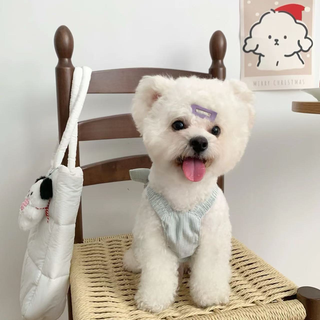 T907 Spring and summer dog clothes 2025 new style can be pulled small dogs and puppies thin princess style pet cat skirt